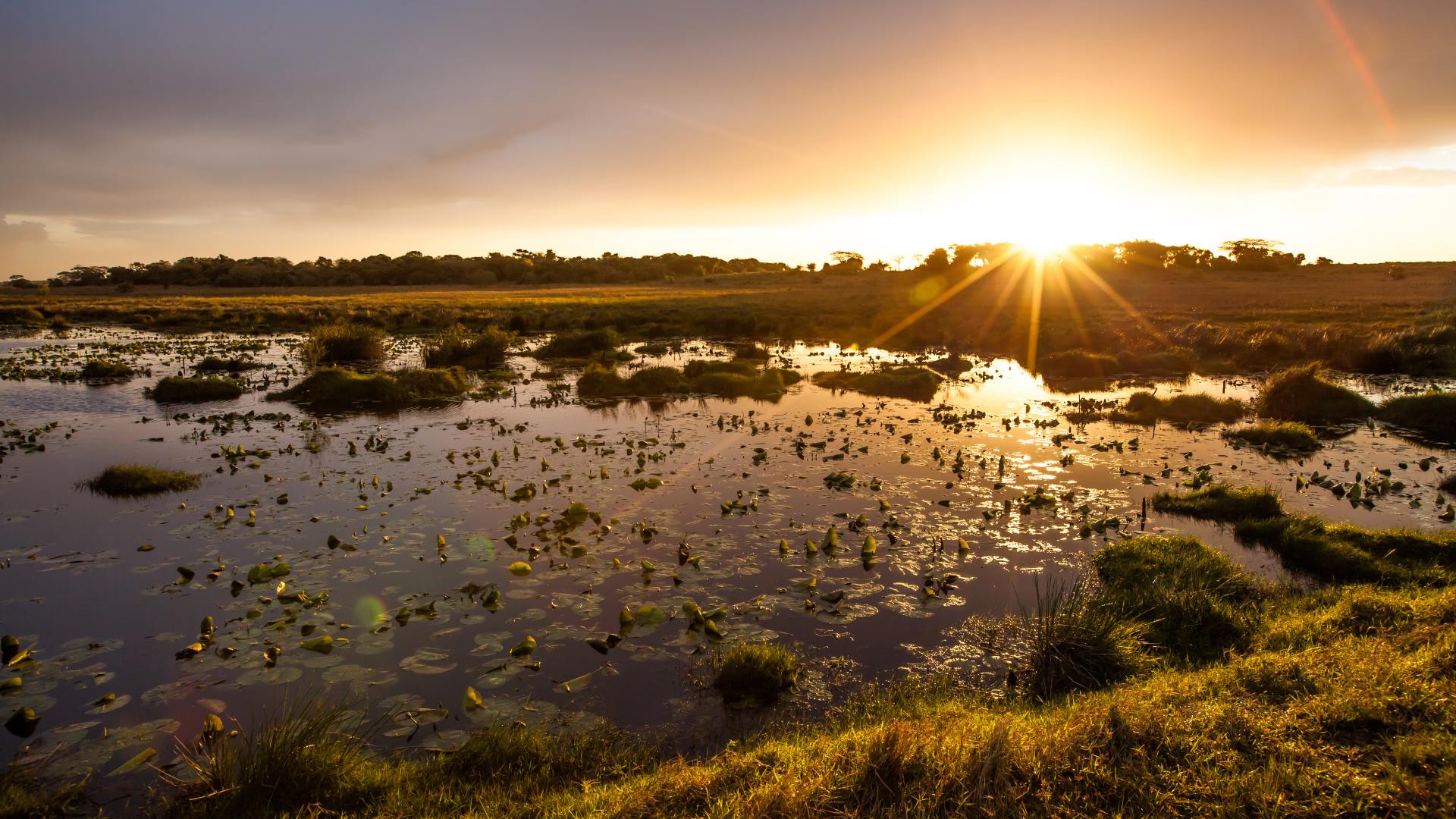 Botswana