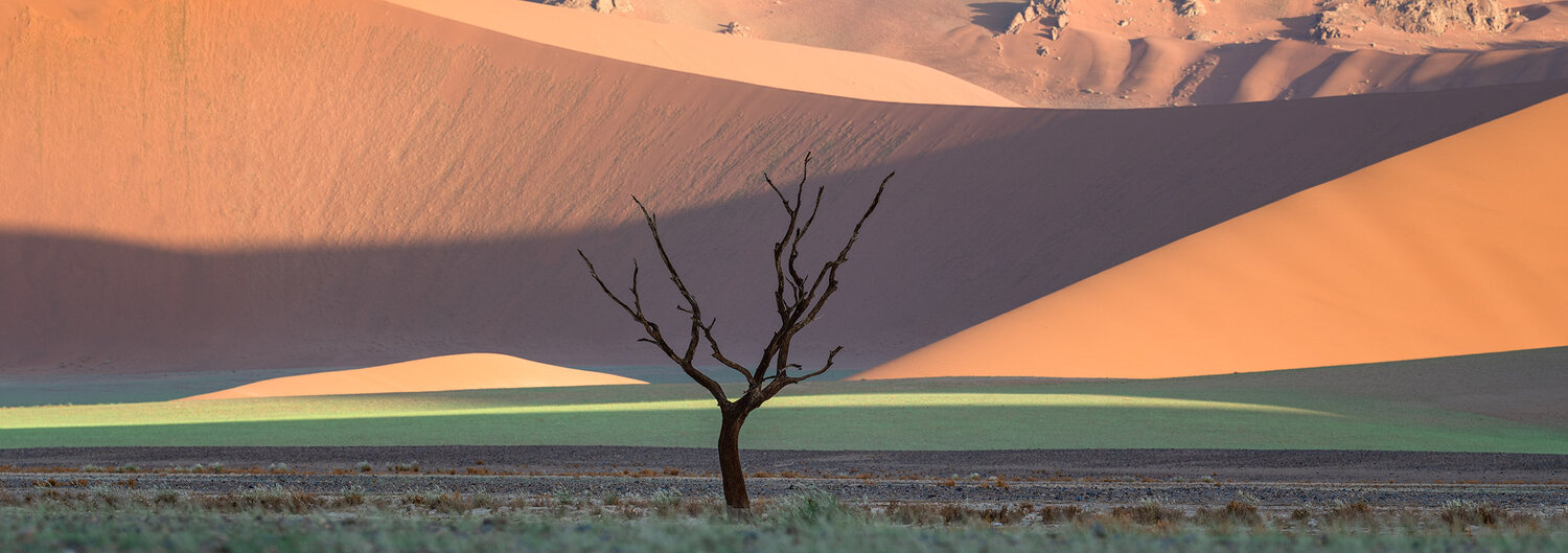 Sossusvlei dunes, Namib